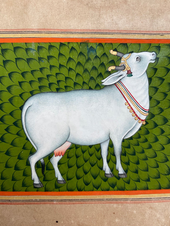 Holi Cow Painting (2)